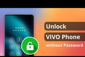 how to unlock vivo brazil phone