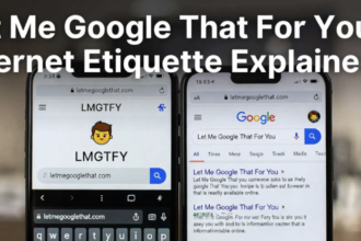 Let Me Google for U A Simple Guide to This Funny Internet Trick