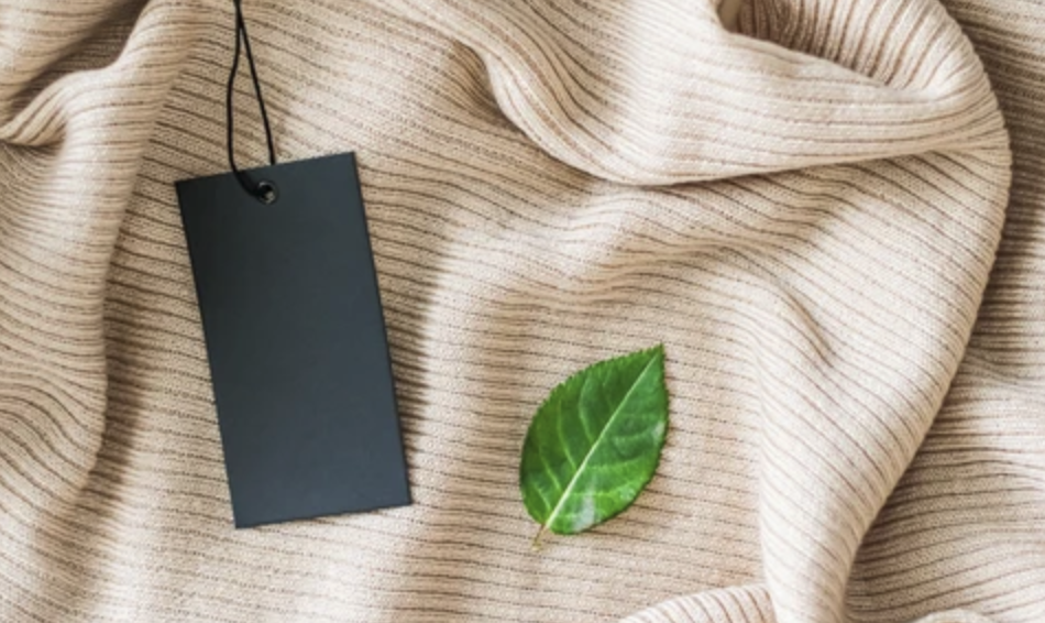 Plant-Based Leather Alternatives