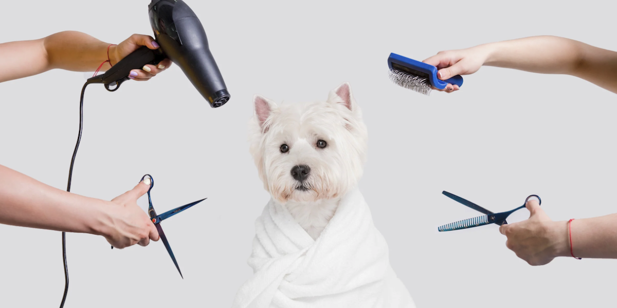 Pet Grooming at Home: A Guide to Tools and Techniques