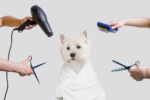 Pet Grooming at Home: A Guide to Tools and Techniques 
