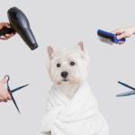 Pet Grooming at Home: A Guide to Tools and Techniques